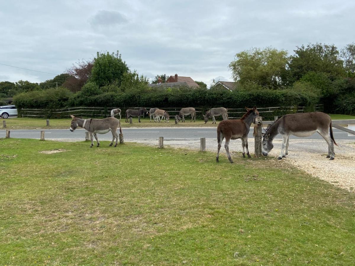 Thatch Cottage, East Boldre Nr Beaulieu And Lymington Brockenhurst Esterno foto